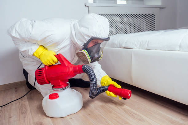 Best Exterminator Services  in Waukon, IA