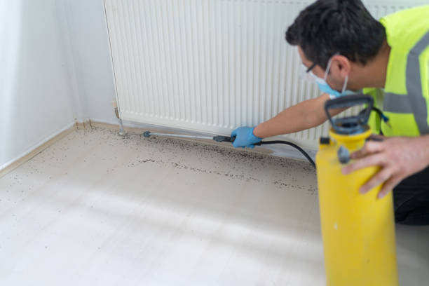 Best Wasp Removal Services  in Waukon, IA